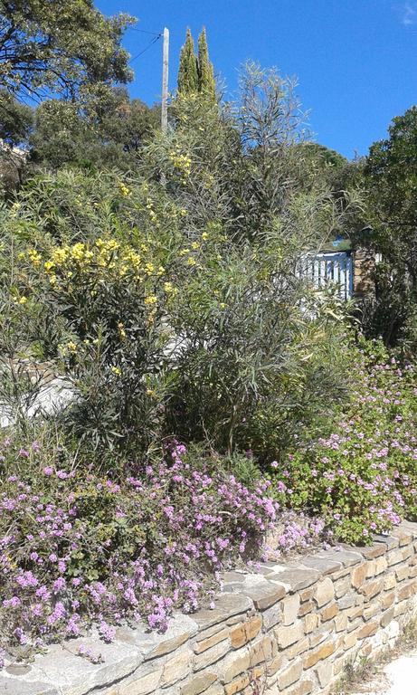 Villa Merveille Bormes-les-Mimosas Εξωτερικό φωτογραφία