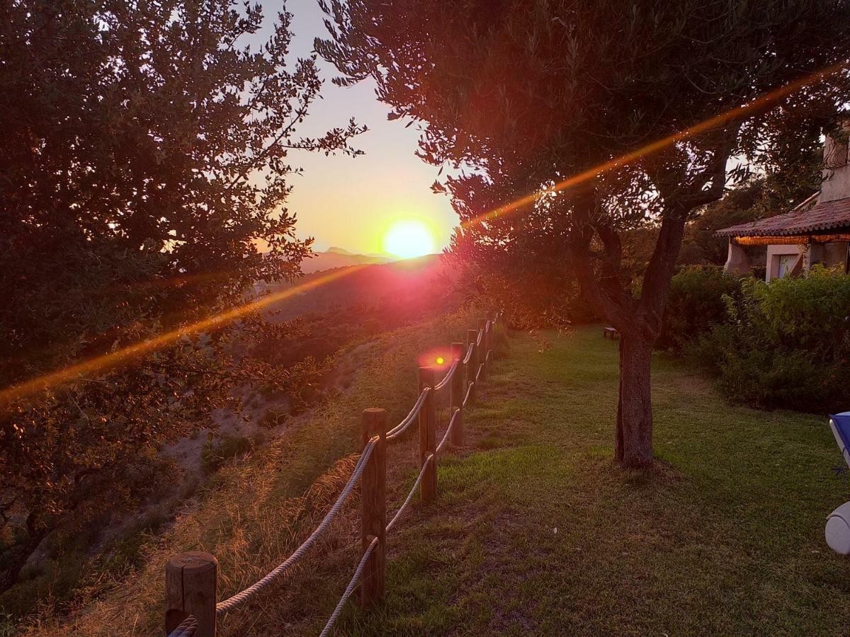 Villa Merveille Bormes-les-Mimosas Εξωτερικό φωτογραφία
